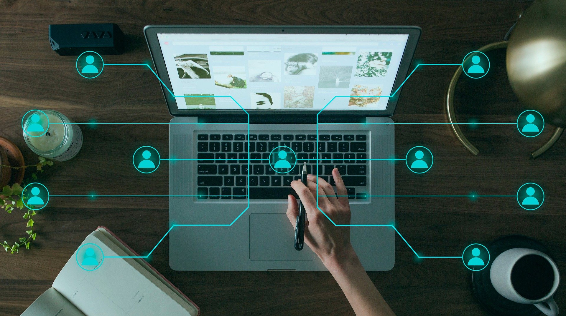 LegalConnectionServices
